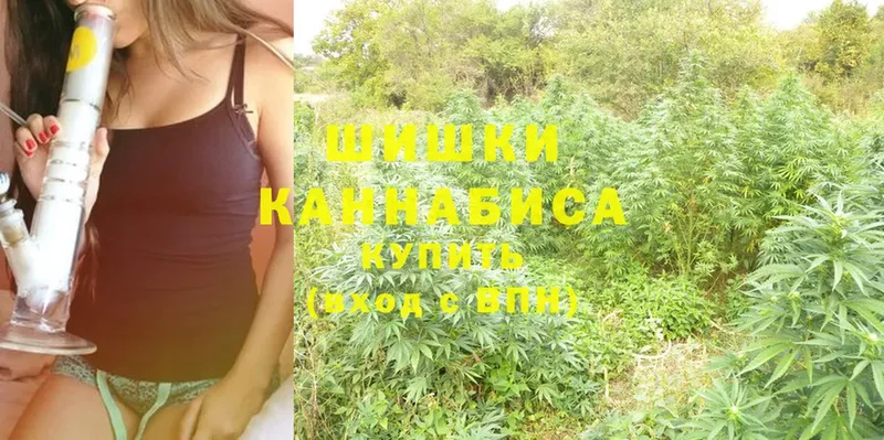 купить наркотик  Октябрьский  МАРИХУАНА SATIVA & INDICA 